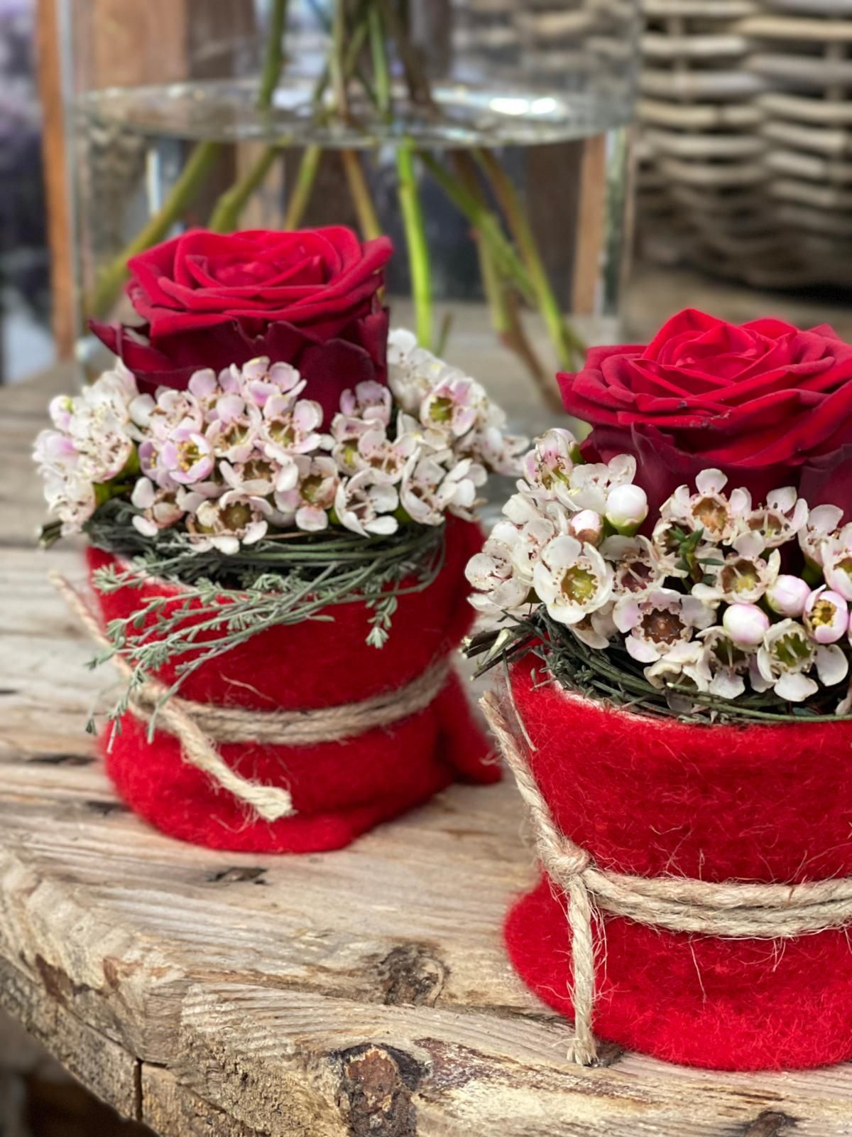 rote-rose-im-filztopf